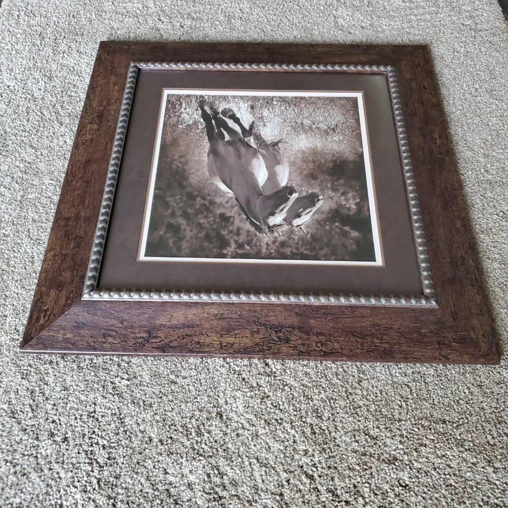Horse Partners Framed Art Picture By Kimerlee Curyl Horses Running